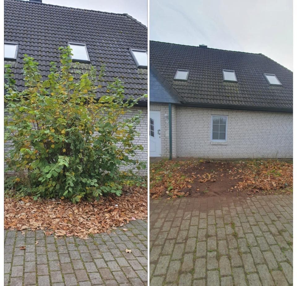 Hauseingang von überwucherten Büschen befreit